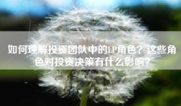 如何理解投资团队中的LP角色？这些角色对投资决策有什么影响？