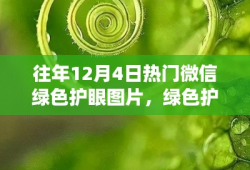 历年十二月四日微信绿色护眼图片回顾，绿色护眼风潮来袭！