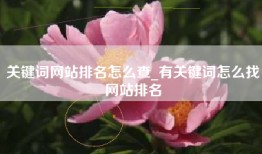 关键词网站排名怎么查_有关键词怎么找网站排名