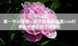 第一书记搭桥，沂水县富官庄镇31360斤黄金小米运到了煤矿上