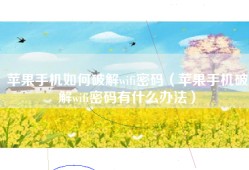 苹果手机如何破解wifi密码（苹果手机破解wifi密码有什么办法）