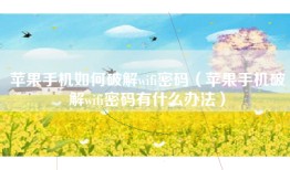 苹果手机如何破解wifi密码（苹果手机破解wifi密码有什么办法）