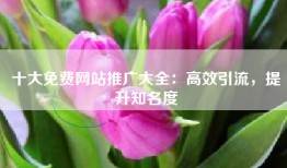 十大免费网站推广大全：高效引流，提升知名度