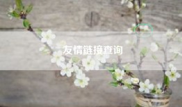友情链接查询