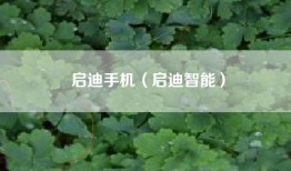 启迪手机（启迪智能）