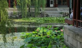 从1.0 迈向2.0，“精致医院”这样打造
