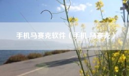 手机马赛克软件（手机 马赛克）