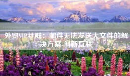 外贸VIP社群：邮件无法发送大文件的解决方案-创新互联