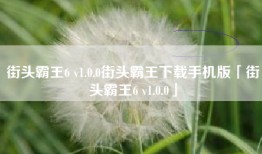 街头霸王6 v1.0.0街头霸王下载手机版「街头霸王6 v1.0.0」