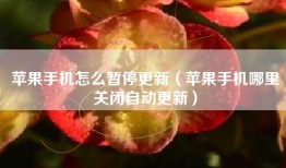 苹果手机怎么暂停更新（苹果手机哪里关闭自动更新）