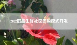 2022谊品生鲜社区团购模式开发