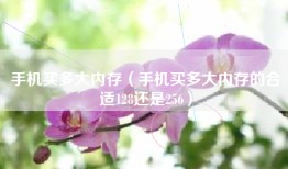 手机买多大内存（手机买多大内存的合适128还是256）