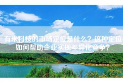 有米科技的市场定位是什么？这种定位如何帮助企业实现差异化竞争？