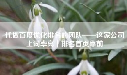 代做百度优化排名的团队——这家公司上词率高｜排名首页靠前