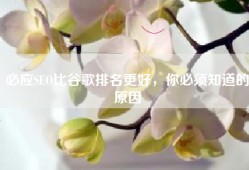 必应SEO比谷歌排名更好，你必须知道的原因