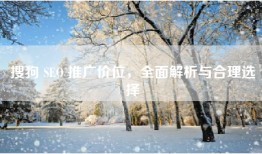 搜狗 SEO 推广价位，全面解析与合理选择