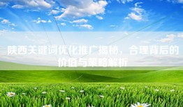陕西关键词优化推广揭秘，合理背后的价值与策略解析