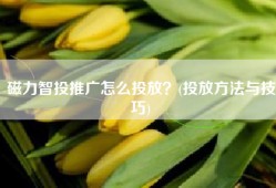 磁力智投推广怎么投放？(投放方法与技巧)