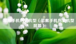 苹果手机历史机型（苹果手机历史机型屏幕）