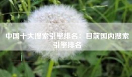 中国十大搜索引擎排名：目前国内搜索引擎排名