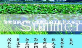 像素低的手机（像素低的手机怎么拍月亮）