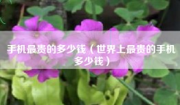 手机最贵的多少钱（世界上最贵的手机多少钱）