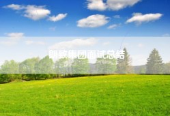 朗致集团面试总结
