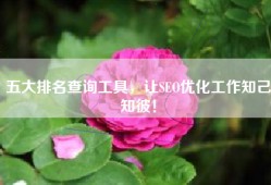 五大排名查询工具，让SEO优化工作知己知彼！
