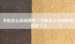 手机怎么自动拨号（手机怎么自动拨号出去了）