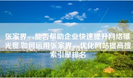 张家界seo能否帮助企业快速提升网络曝光度,如何运用张家界seo优化网站提高搜索引擎排名