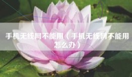 手机无线网不能用（手机无线网不能用怎么办）