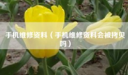 手机维修资料（手机维修资料会被拷贝吗）