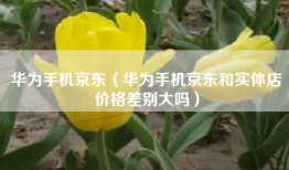 华为手机京东（华为手机京东和实体店价格差别大吗）