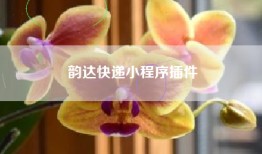 韵达快递小程序插件