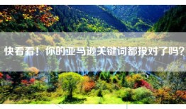 快看看！你的亚马逊关键词都投对了吗？