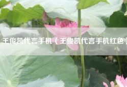 王俊凯代言手机（王俊凯代言手机红色）