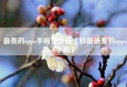 最贵的oppo手机多少钱（目前最贵的oppo手机）