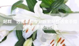 站群牜选金手指专业探索站群选金手指专业的奥秘与价值