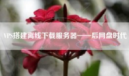 VPS搭建离线下载服务器——后网盘时代