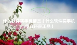 什么软件买手机便宜（什么软件买手机便宜还是正品）