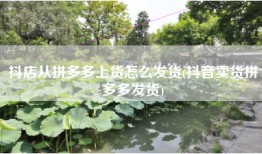 抖店从拼多多上货怎么发货(抖音卖货拼多多发货)