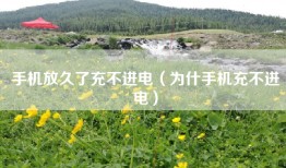 手机放久了充不进电（为什手机充不进电）