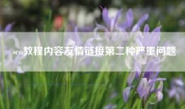 seo教程内容友情链接第二种严重问题