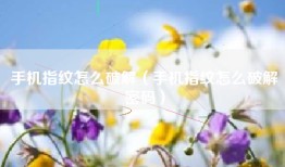 手机指纹怎么破解（手机指纹怎么破解密码）