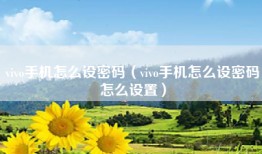 vivo手机怎么设密码（vivo手机怎么设密码怎么设置）