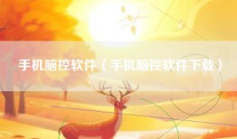 手机脑控软件（手机脑控软件下载）