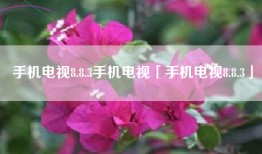 手机电视8.8.3手机电视「手机电视8.8.3」