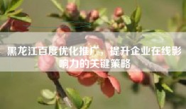 黑龙江百度优化推广，提升企业在线影响力的关键策略