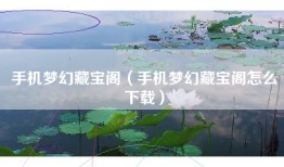 手机梦幻藏宝阁（手机梦幻藏宝阁怎么下载）