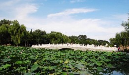 呼吸有爱·共筑肺康——株洲市人民医院“中医药文化健康夜市”第十九期来啦！
